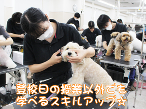 スキルアッププログラム、ラストスパート！